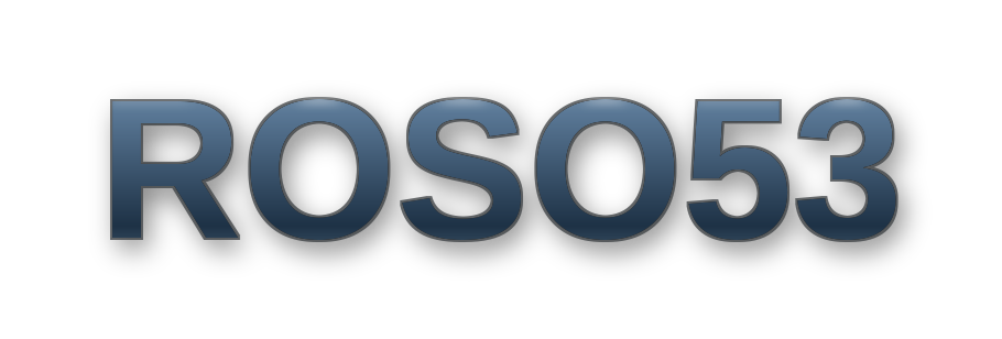 LOGO-ROSO53